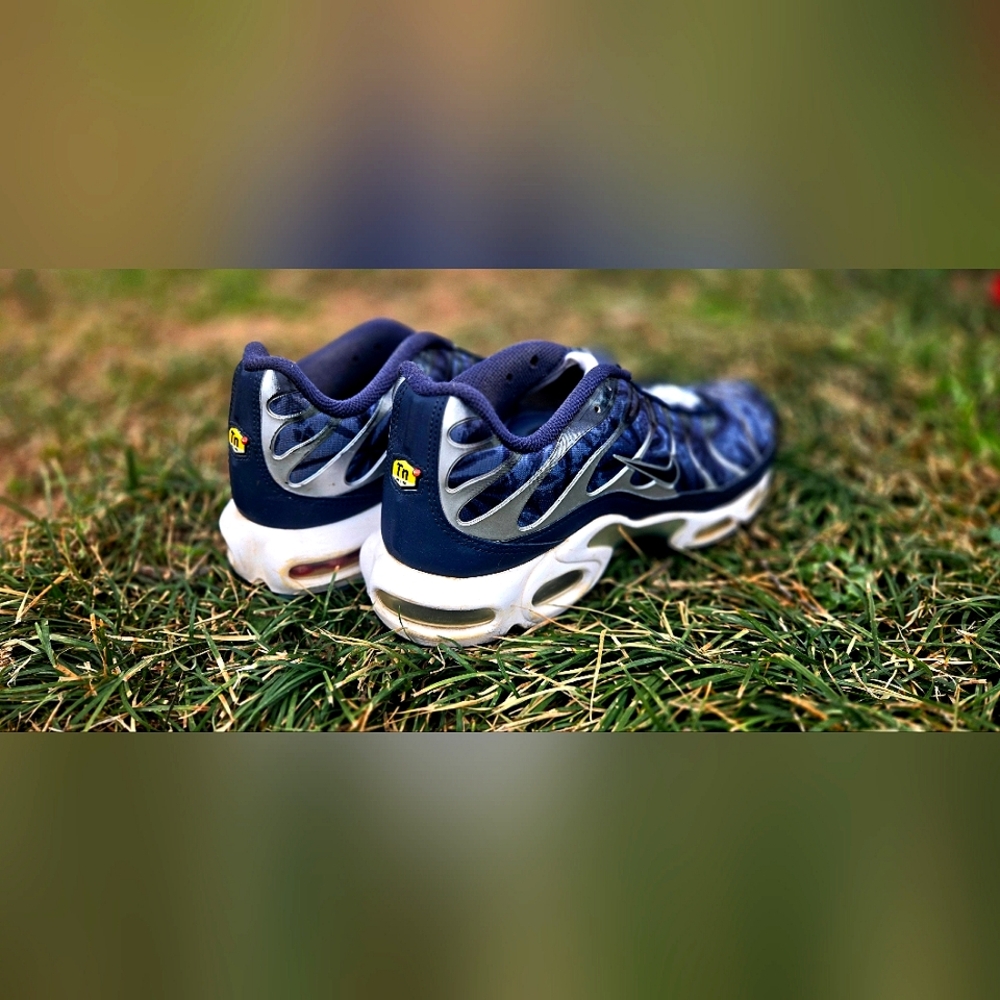 Nike Air Max Plus 'Shattered Ice'
